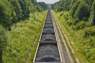 خط تولید زغال ساری