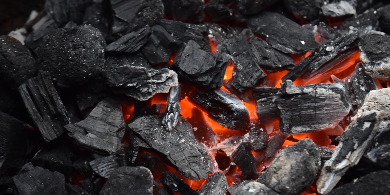 خط تولید زغال بندرعباس